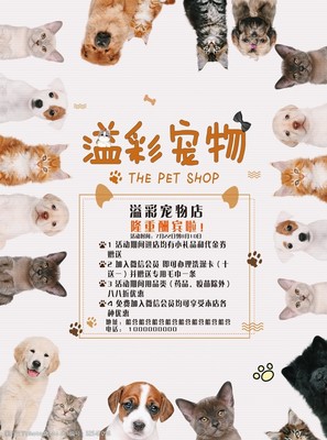 專業(yè)寵物服務(wù)，呵護(hù)愛寵健康與快樂