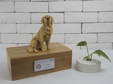 上海金橋?qū)櫸镌\所 互聯(lián)網(wǎng)數(shù)據(jù)服務的創(chuàng)新應用與價值